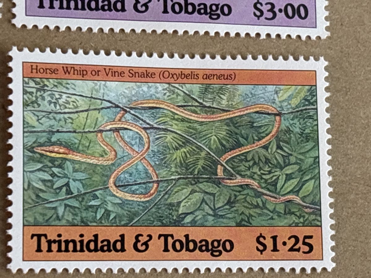 Tutti i francobolli: Briefmarken Trinidad & Tobago: Schlangen, postfrisch! – Nuovo e nell'imballaggio originale da Zürich venduto da engebrunau 1