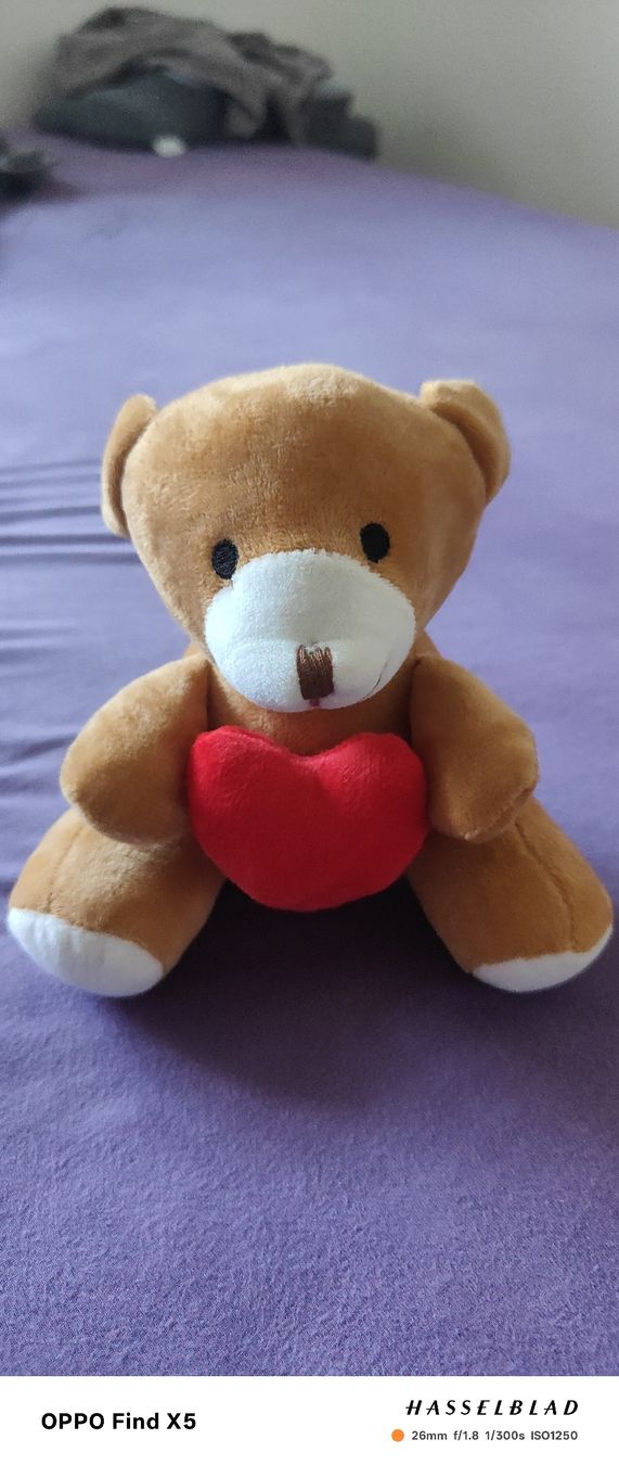 Spielzeuge: Smile Teddy mit Herz – Gebraucht aus Unterentfelden von igs_nj72