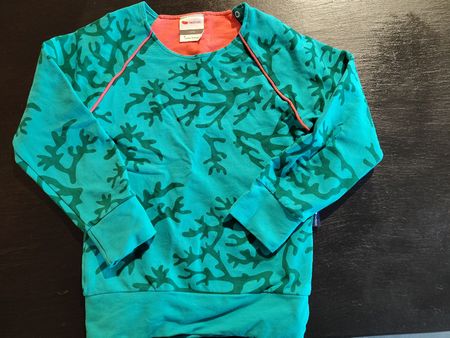 Sweatshirt l'asticot, patterned, size 5 years, organic cotto