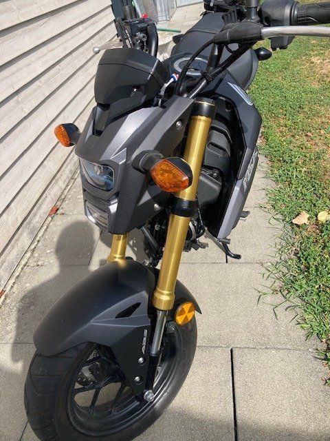 Honda Route: Honda MSX125A – D'occasion à Gontenschwil par rol_5h5l 3