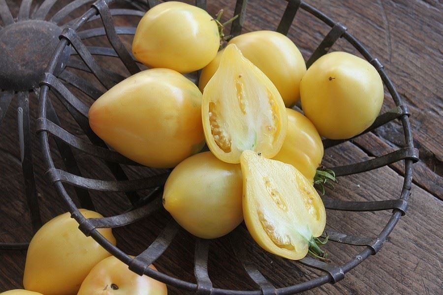 Piante & sementi: Tomate coeur de boeuf blanche  RARE  3g – Nuovo (secondo la descrizione) da Bremblens venduto da FIBONACCI369 3