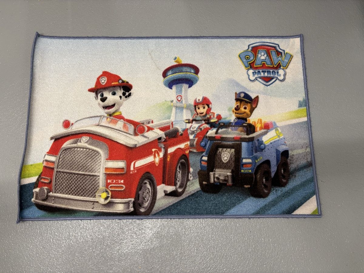 Tappeti: Paw Patrol Teppich Kinder Motiv – Usato da Stachen venduto da stachi08