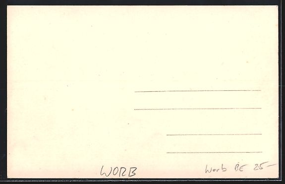 Cartes postales: Worb, Strassenumzug mit Esel und Sonnens – D'occasion à Berlin par bartko-reher 1