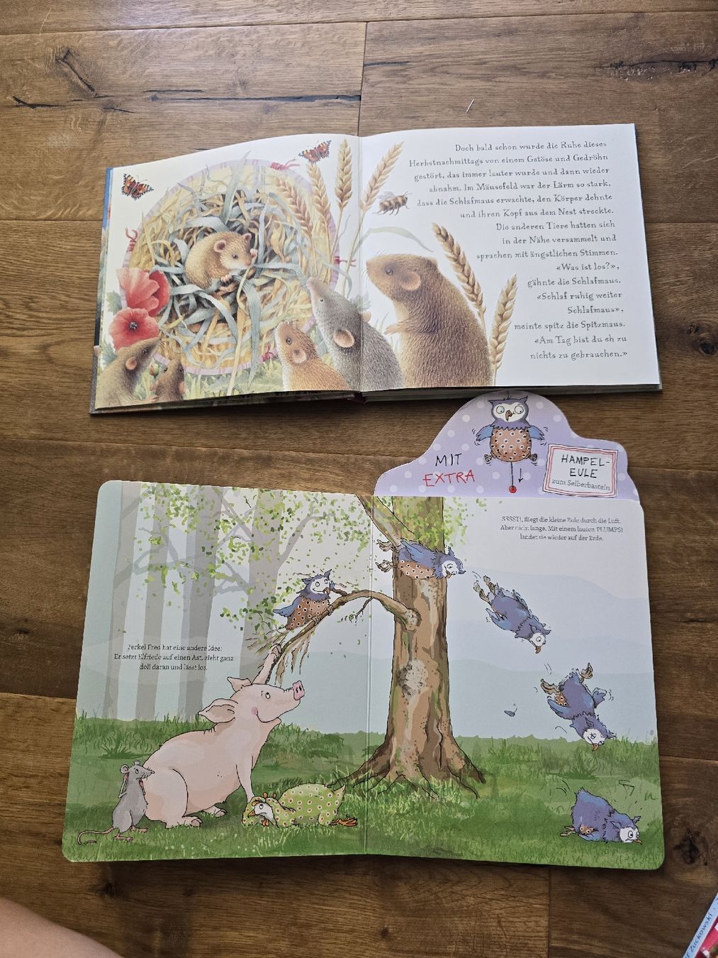 Libri: Kinderbuch Set 6 Stck set  guter Zustand – Usato da Wittenbach venduto da Tigerlili 5