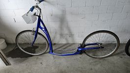 Dogscooter/ Trottinet Erwachsene 