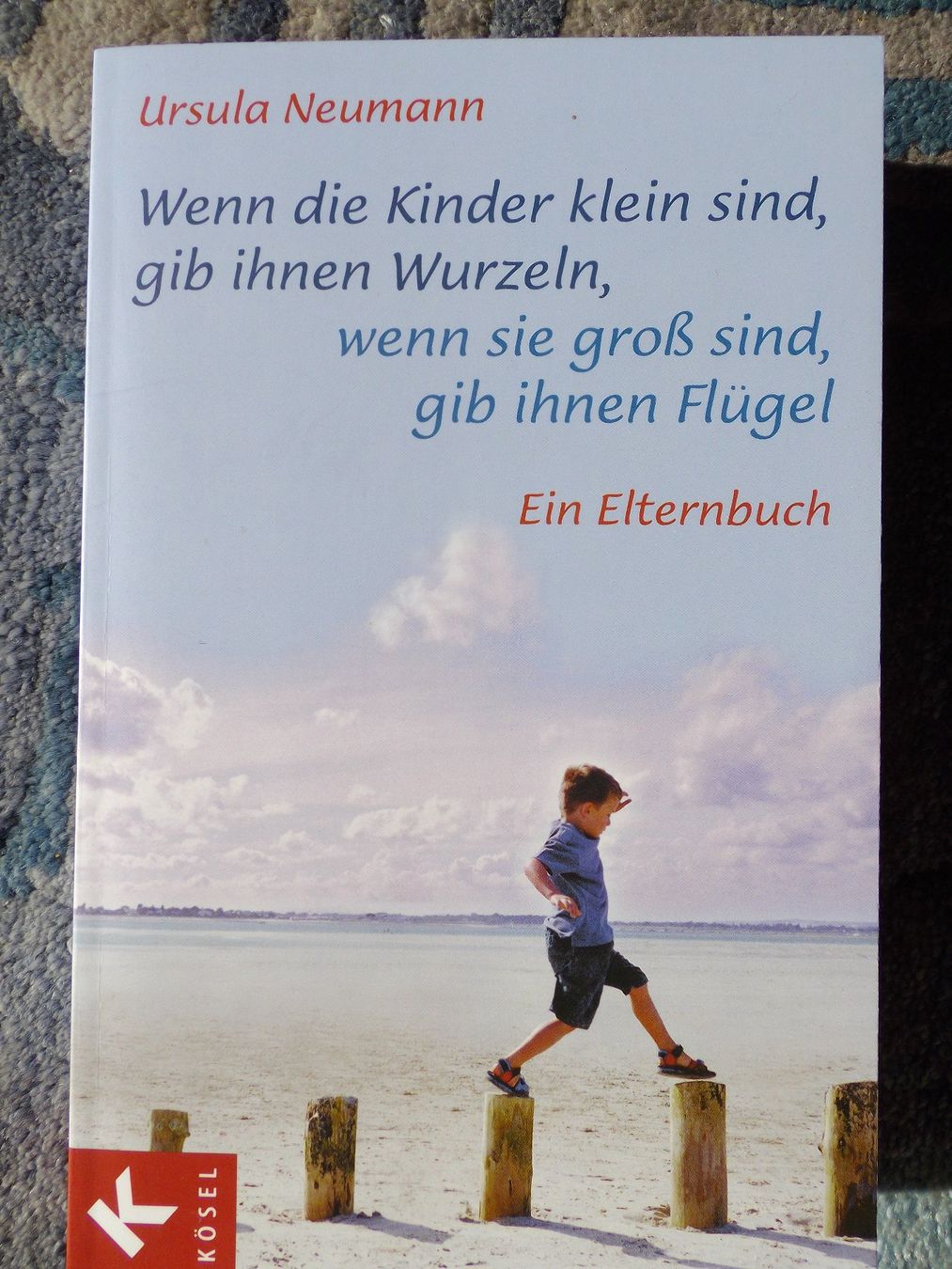 Libri: Erziehung mit Herz und Verstand - Ein Elternbuch – Usato da Uster venduto da urs_75by