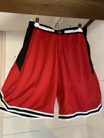Red basketball shorts 