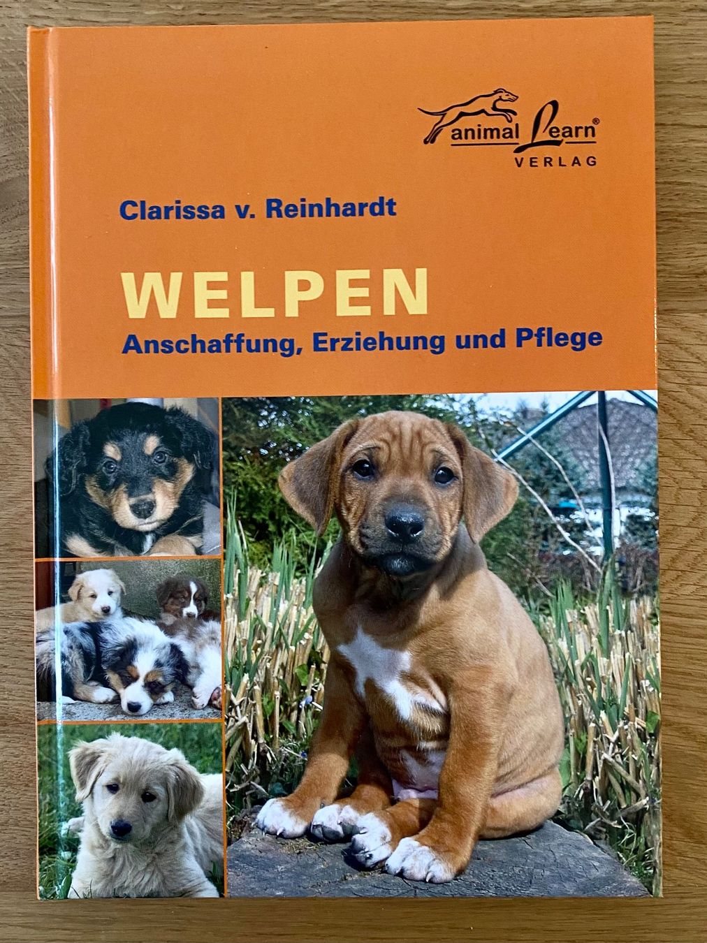 Libri: Unbenutztes Welpen Buch – Nuovo (secondo la descrizione) da Hendschiken venduto da Sunnekiind