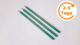 Bleistift 3x BIC Evolution ECOlutions HB