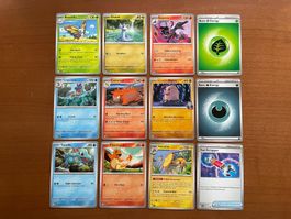 Pokemon 12er Karten Set (Versand gratis)