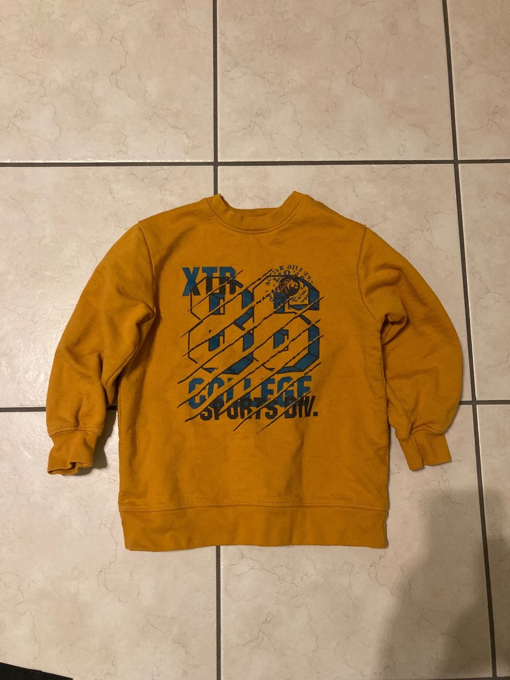 Maglioni & Felpe: Pullover grösse 116/122 – Usato da Zimmerwald venduto da wuff81