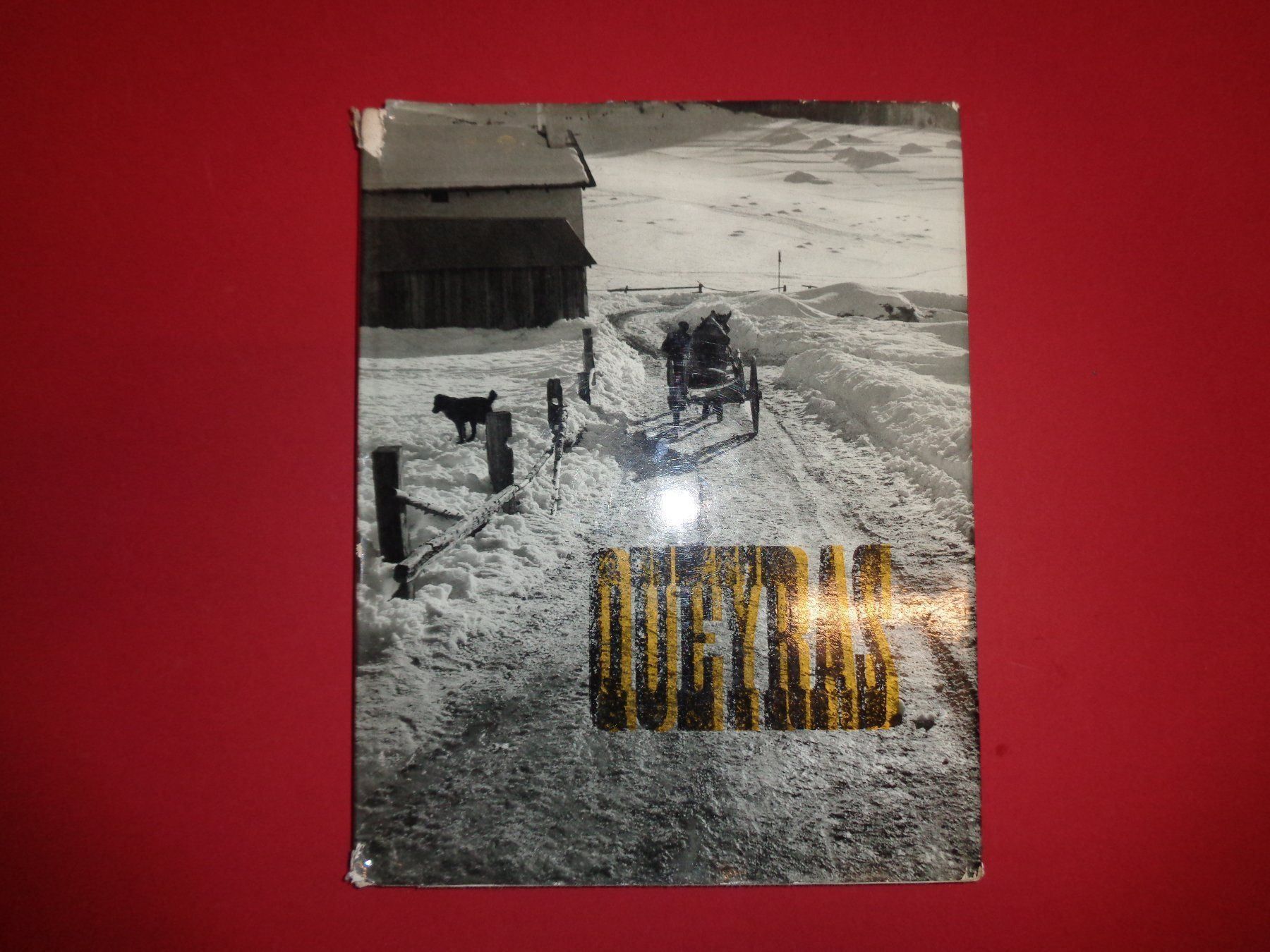 Libri: YVAN Dalain Fotobuch Le Queyras – Usato da Welschenrohr venduto da Regool 3