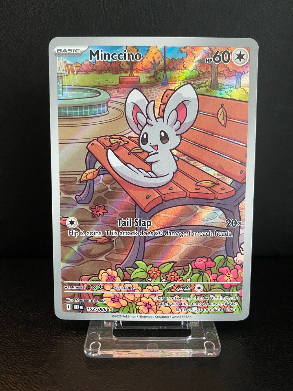 Pokémon Sammelbilder & Trading cards: Minccino - BLK 152 – Gebraucht aus Winterthur von PikaPoki