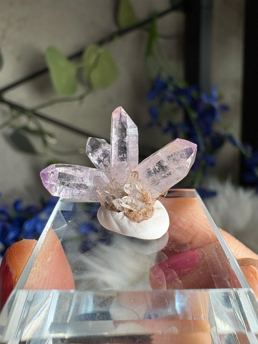 Pietre preziose: Veracruz Amethyst – Nuovo (secondo la descrizione) da Neuheim venduto da m.hald 5