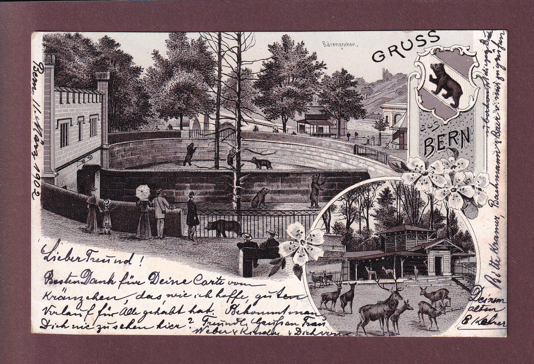 Cartoline postali: BERN - Bärengraben - 1902 Litho – Usato da Pully venduto da nicecards