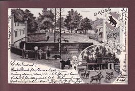 BERN - Bärengraben - 1902 Litho