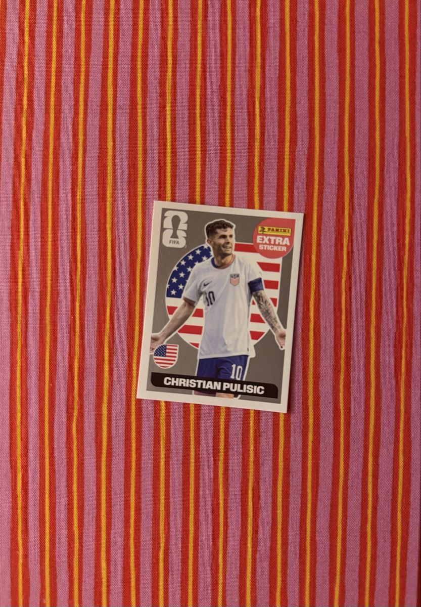 Panini Carte collezionabili: Christian Pulisic, Extra Sticker, Panini, Silber – Nuovo e nell'imballaggio originale da Gutenswil venduto da jus_nr7h