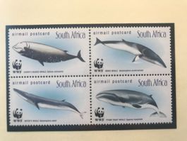 Südafrika 1998 Satz WWF Wale postfrisch 4er-Block