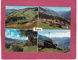 Pany 1976