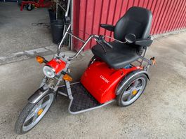 geplfegter Kyburz Classic 57 mit neuer Batterie