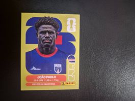 Panini WM 26 CPV 8