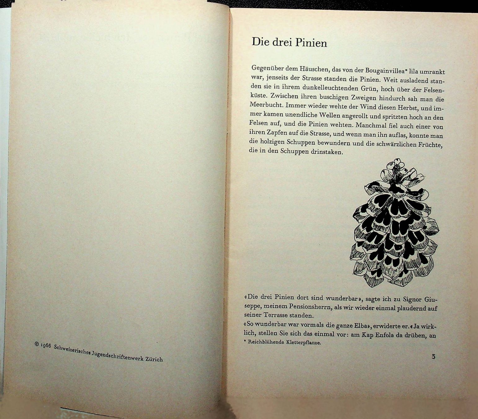 Bücher: SJW 926 Arthur Häny Die drei Pinien EA 1966 – Gebraucht aus Reitnau von Zaomir 2