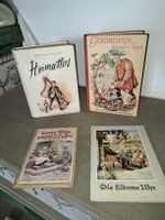antike Kinderbücher Lot
