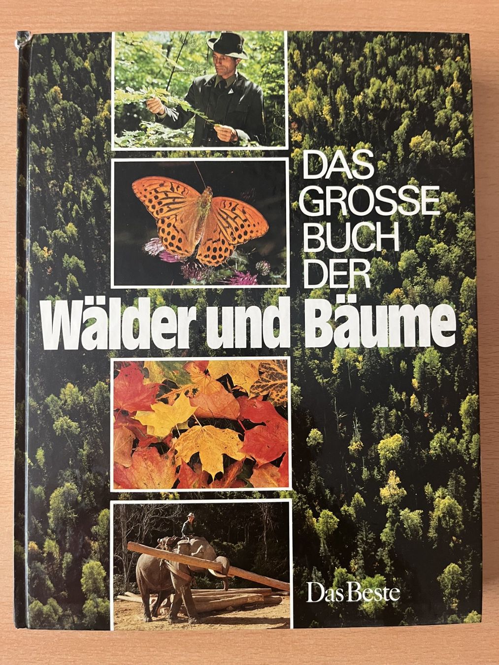 Libri: Das grosse Buch der Wälder und Bäume – Usato da Lausen venduto da Mondeo10628