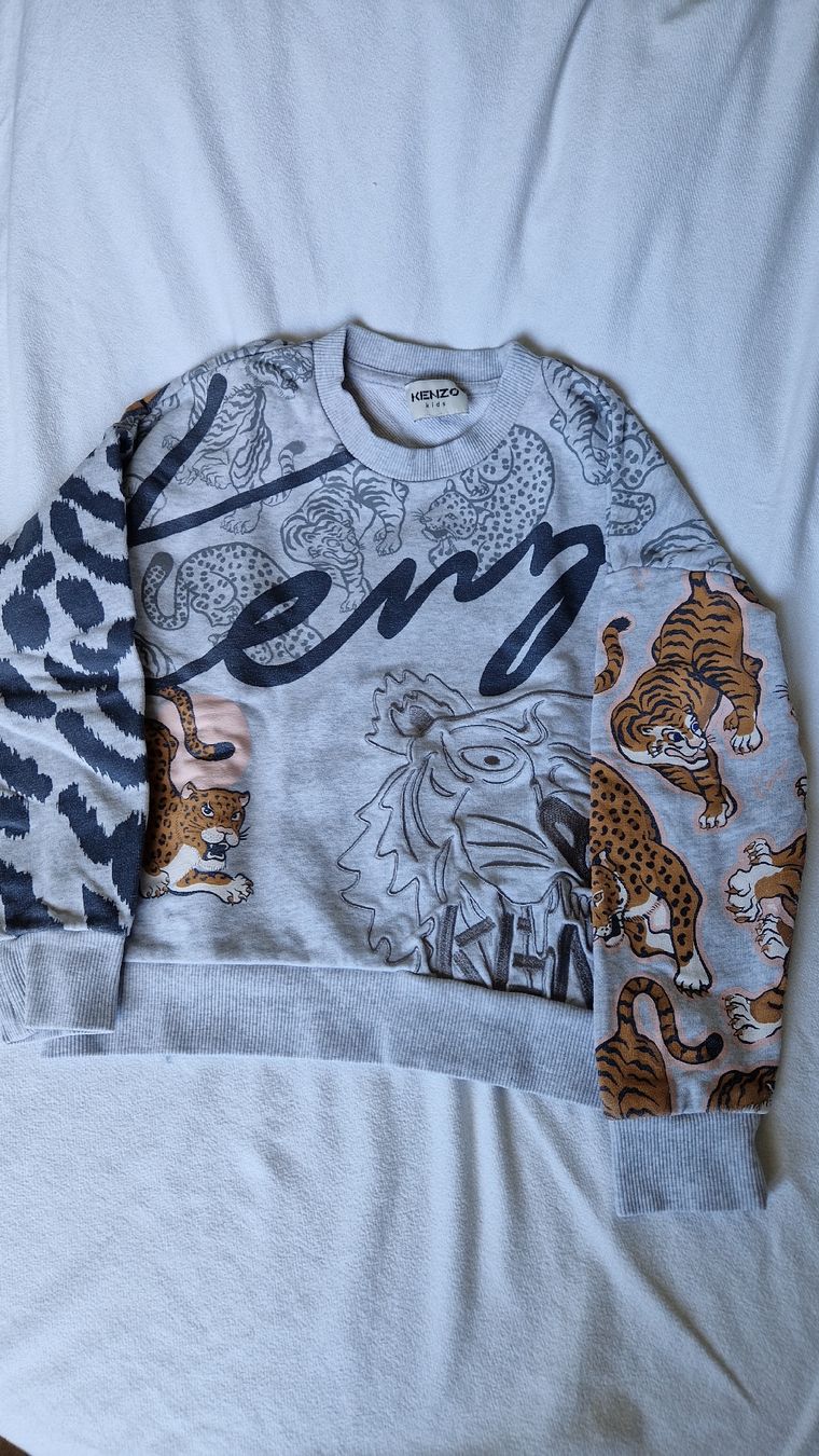 Maglioni & Felpe: Kids Pullover mit Tigerstickerei – Usato da Hochfelden venduto da Hueppi