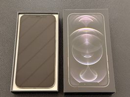 iPhone 12 Pro, 256 GB, Graphite, Top-Zustand, Leather Case