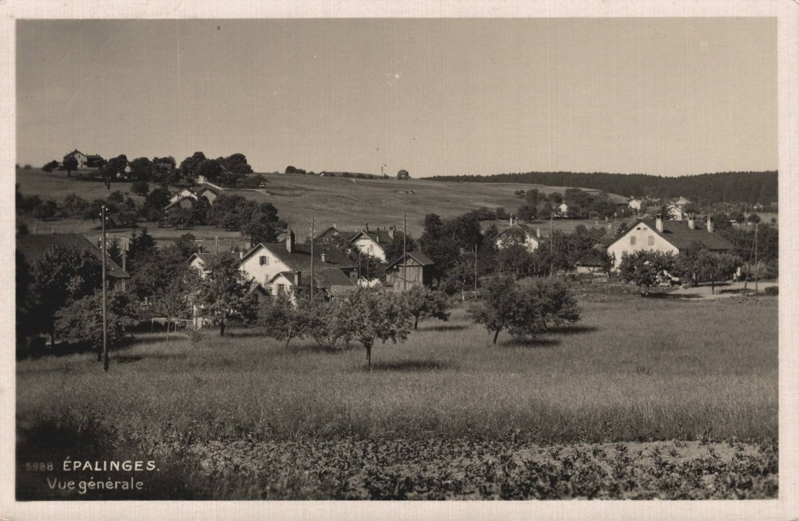 Cartoline postali: Originale alte Ansichtskarte von Epalinges, 1937, Top! – Usato da Luzern venduto da Kartenansicht