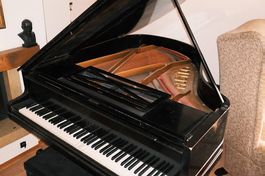 Grand Piano Pleyel Paris Black