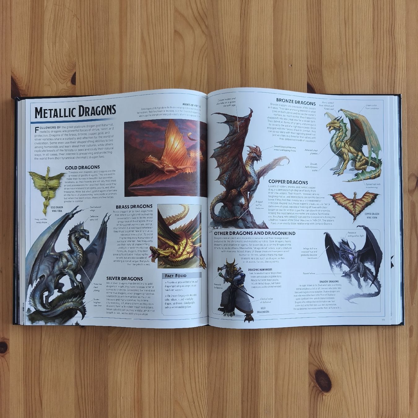 Bücher: Dungeons & Dragons Visual Dictionary – Neu (gemäss Beschreibung) aus Baar von IGN-Books 3