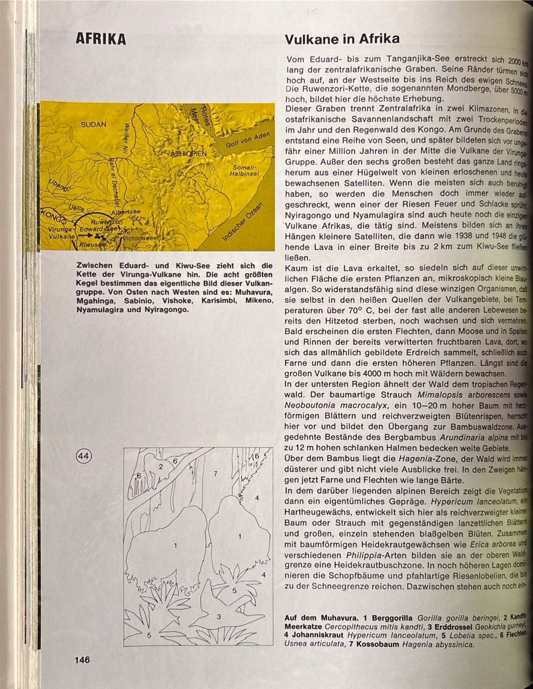 Libri: Was lebt wo auf dieser Erde – Nuovo (secondo la descrizione) da Sarnen venduto da Livres 9