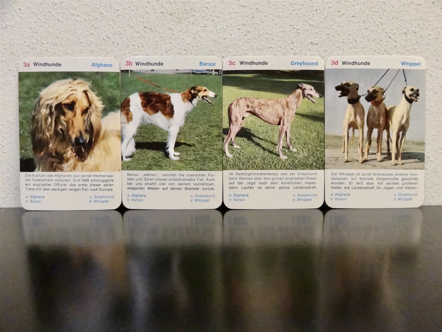 Spiele: altes Quartett TIER-QUARTETT HUNDE HUND – Gebraucht aus Kerzers von wisaundso 5