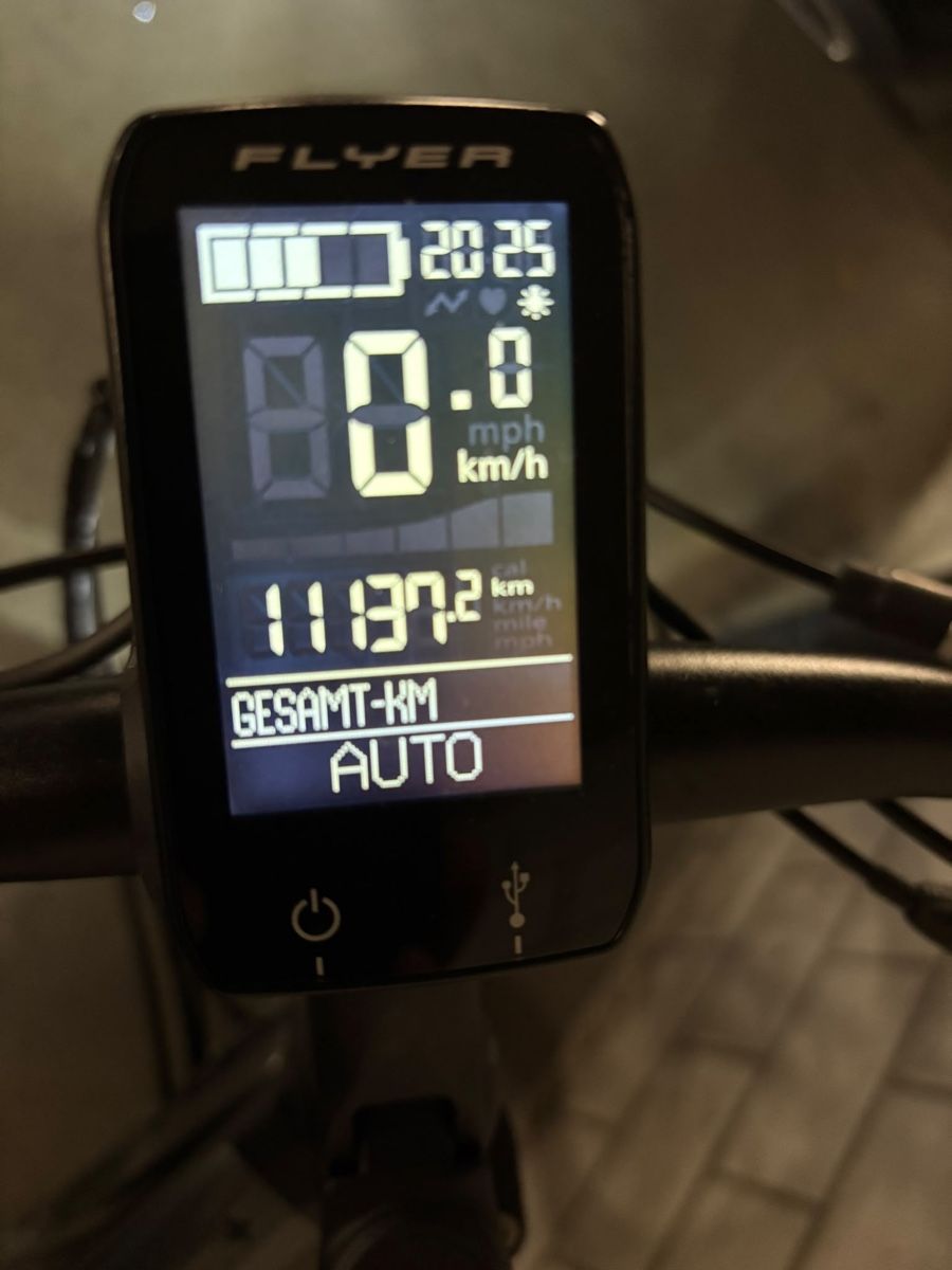 Flyer Vélos: Flyer 45 km/h Serie T – D'occasion à Hedingen par Ragra01 5