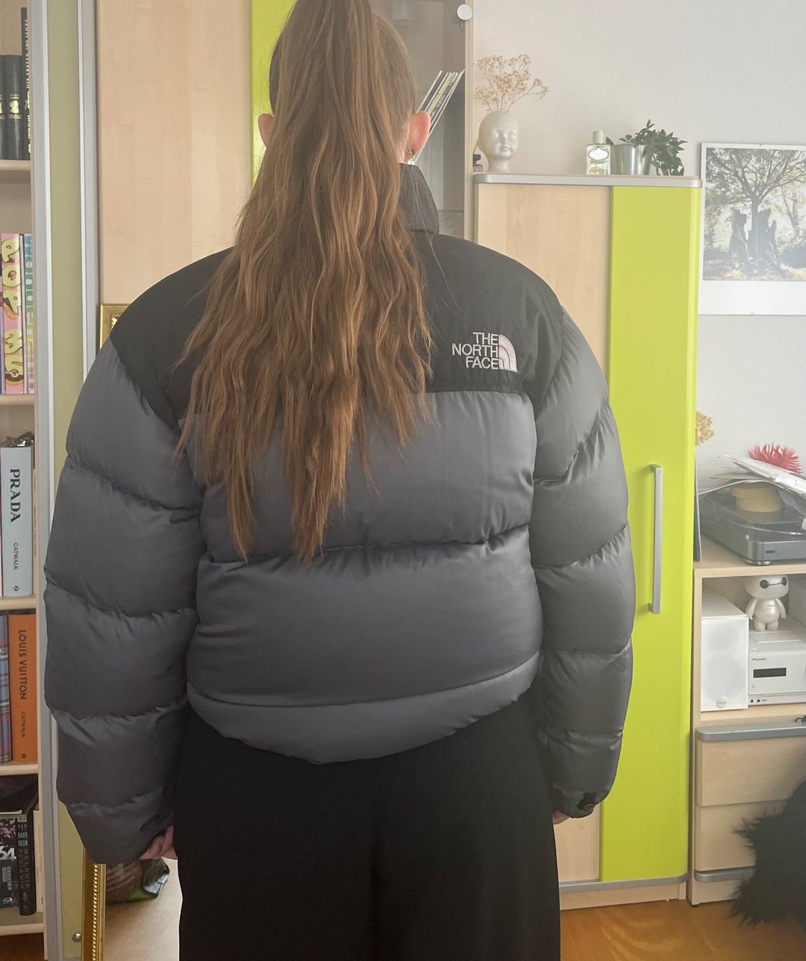 North Face Giacche: Northface Jacke – Usato da Zug venduto da saskia-chiara 7