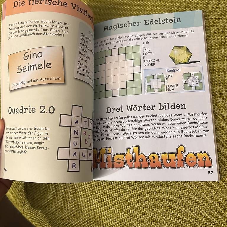 Libri: Rätsel für Kinder – Usato da Zimmerwald venduto da wuff81 2