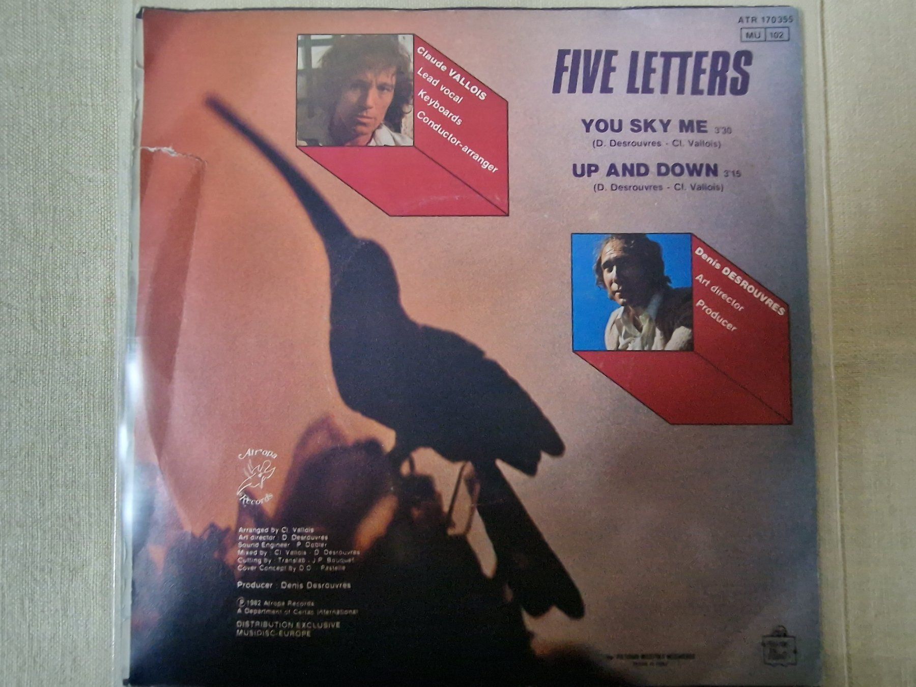 Dischi in vinile: Five Letters Single – You Sky Me – Usato da Root venduto da atelier22 1