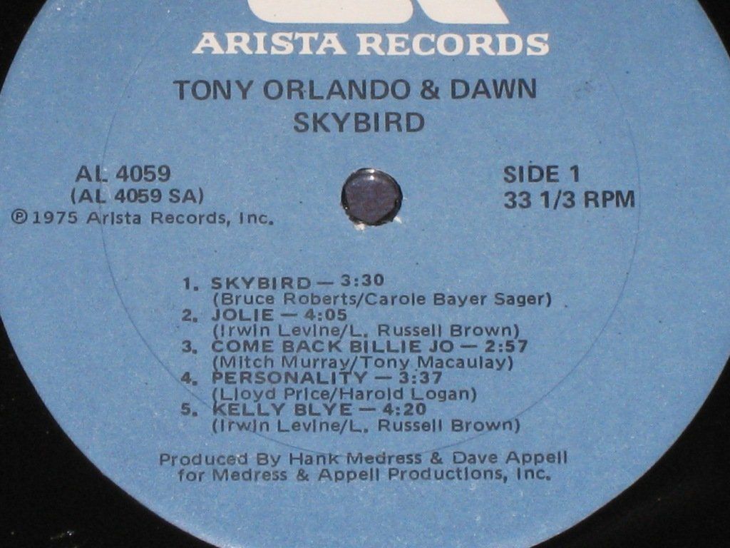 Dischi in vinile: LP - TONY ORLANDO & DAWN - SKYBIRD – Usato da Steckborn venduto da Quo7 1