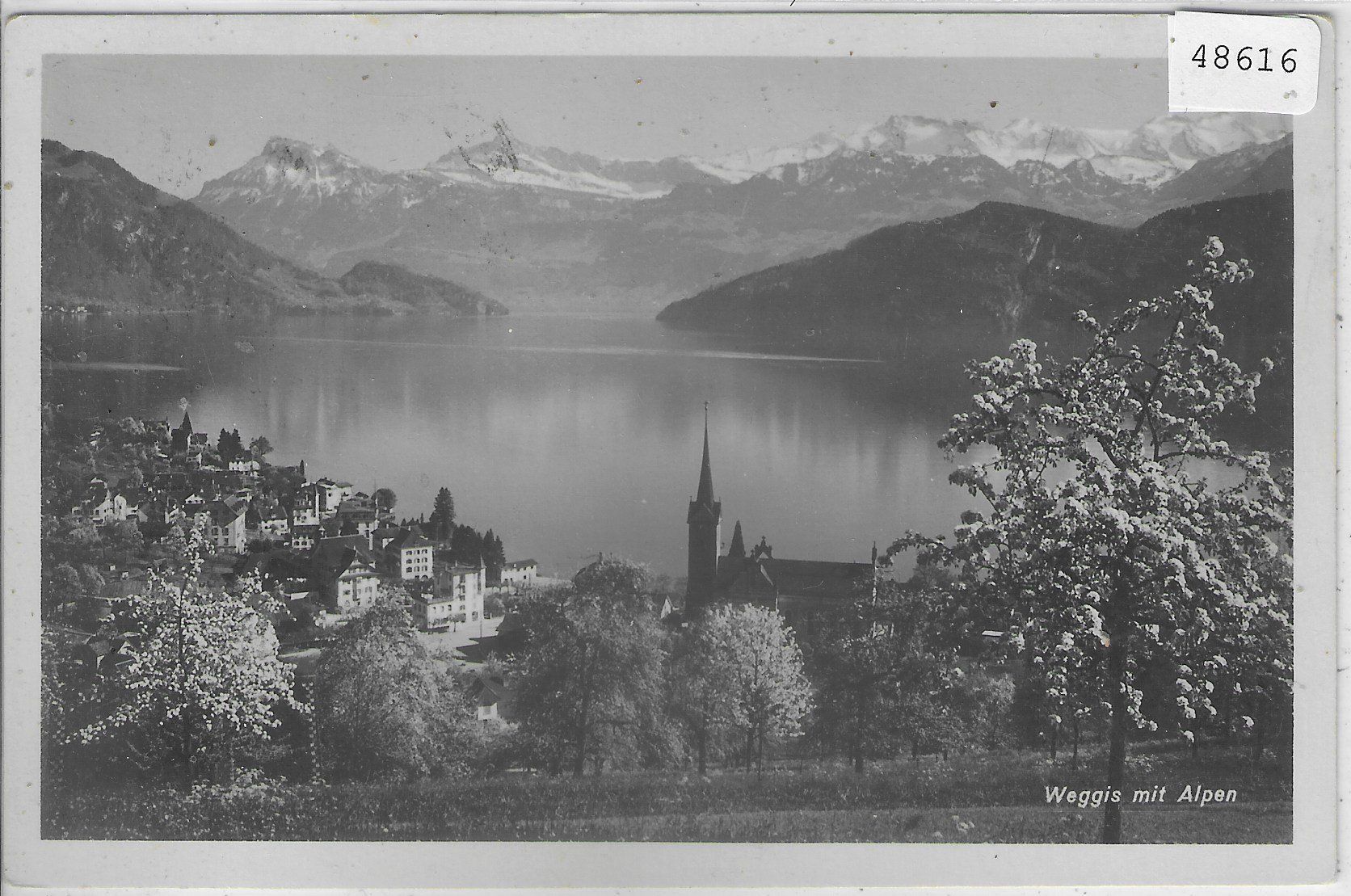 Cartoline postali: Weggis - Generalansicht während der Baumblüte – Usato da Ettingen venduto da Kartenplanet