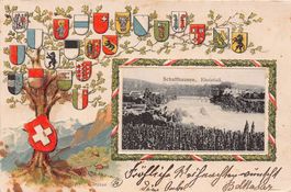 Schaffhausen, Rheinfall im Relief-Rahmen, gelaufen 1905