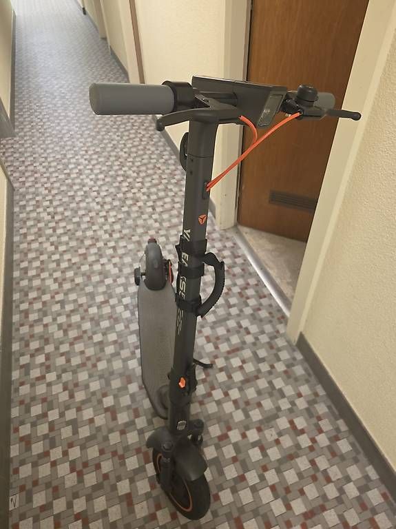 Kickboard: Trottinette électrique 350W – Nuovo e nell'imballaggio originale da Territet venduto da car_q2dk 2