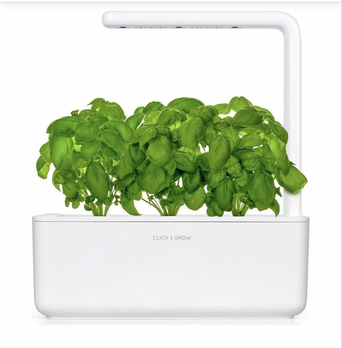 Altro: Click and grow, full set – Usato da Feuerthalen venduto da Sophie3000