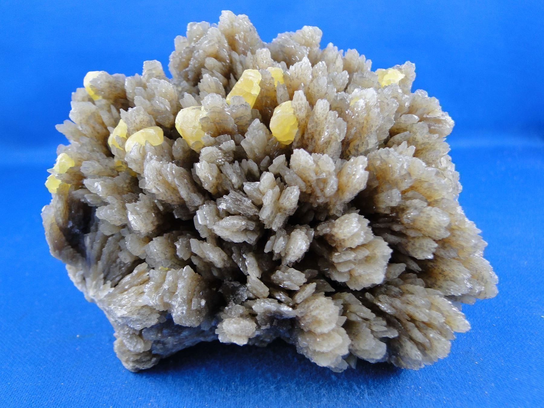 Minerali & Pietre curative: Schwefel auf Baryt – Usato da Schinznach Bad venduto da Demerald 8