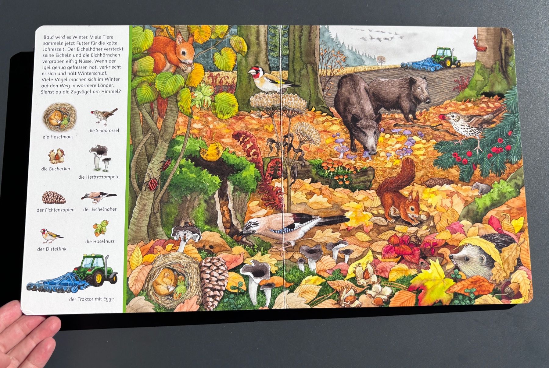 Bücher: Kinderbuch – Gebraucht aus Brugg AG von tsannen 5