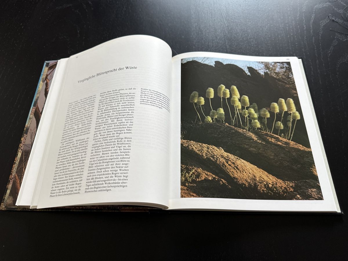 Libri: Der australische Busch – Usato da Erstfeld venduto da Uhu1980 4
