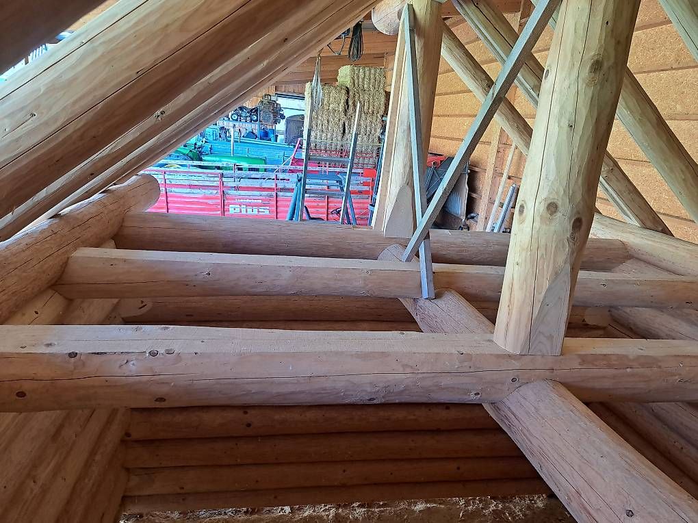 Articoli in legno: Blockhaus Rundstammhaus – Usato da Reinach AG venduto da sic02 3
