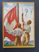 1929, Bundesfeier-Postkarte Nr.49  /  Ballonpost
