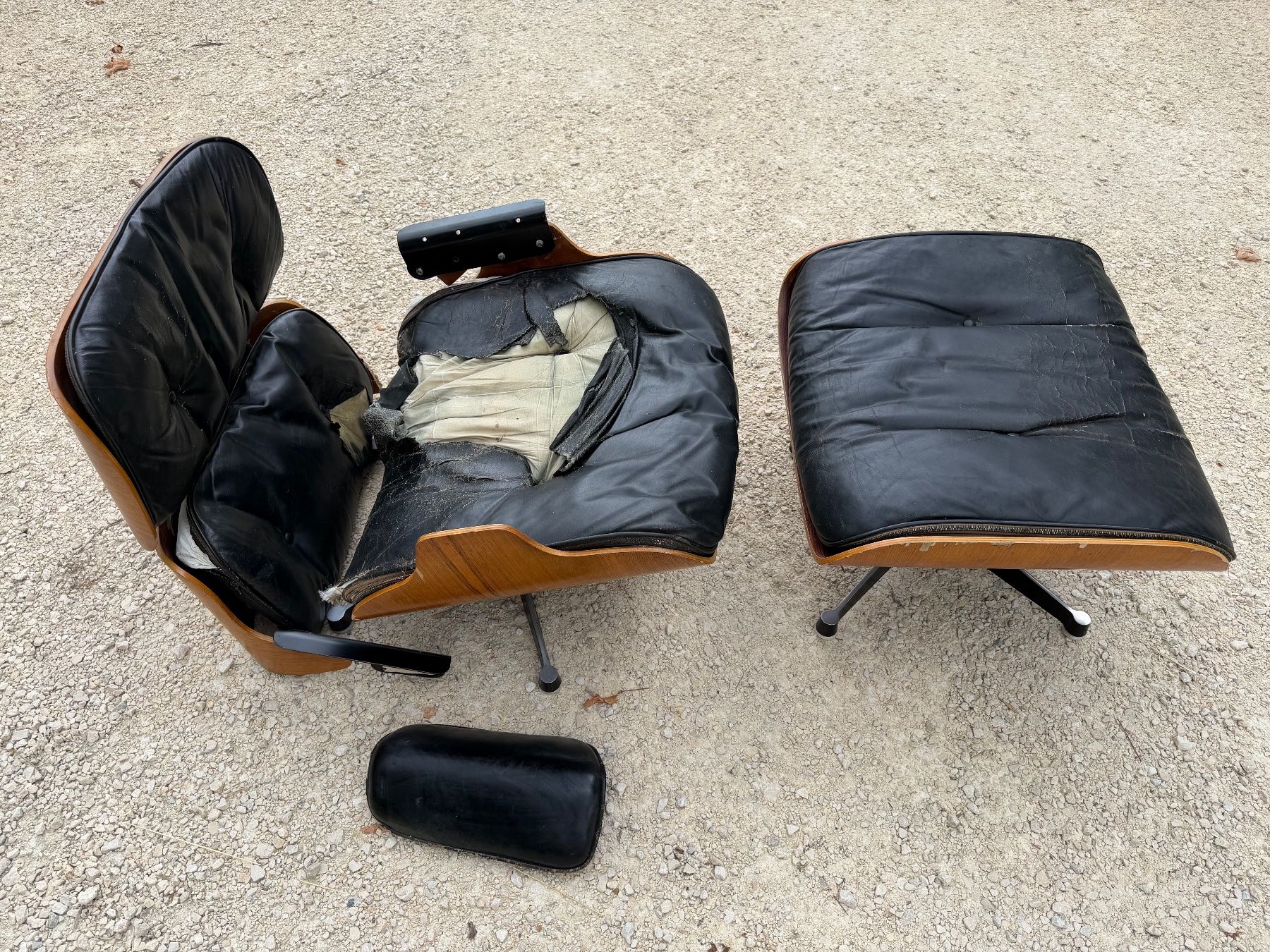 Eames Poltrone: Eames Lounge Chair - Ersatzteilspender – Difettoso da balsthal venduto da Roggenschnarz 1